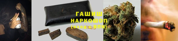 индика Армянск