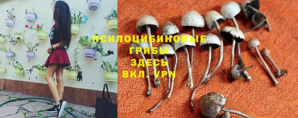 индика Армянск