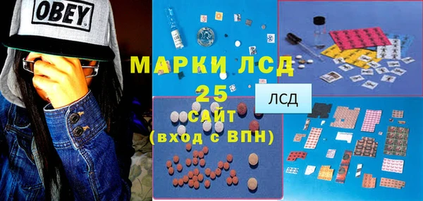 индика Армянск