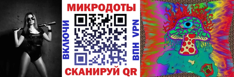 Псилоцибиновые грибы Psilocybe  кракен   Малая Вишера 